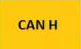 CAN H - orange